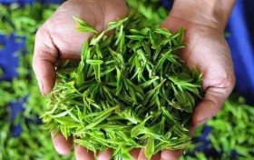 90%人觉得喝了它减肥、降三高，这个被5亿人追捧的饮料，…