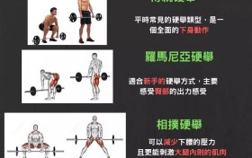 健身最常见的知识点，你需要收藏一下！
