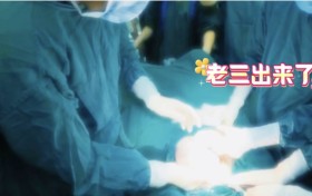 极罕见！安徽一妈妈生下三胞胎，共享一个胎盘！